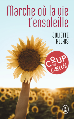 Résumé de Marche où la vie t'ensoleille