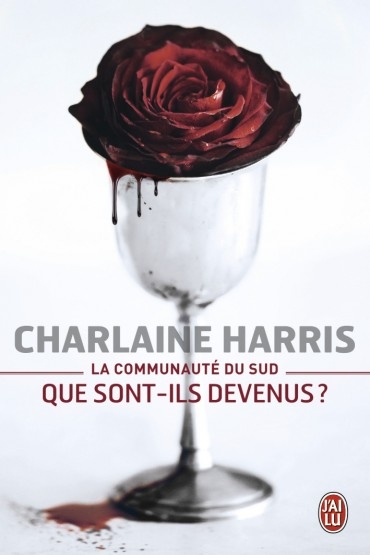 Résumé de La communauté du sud, hors-série, tome 3 : Que sont-ils devenus ?