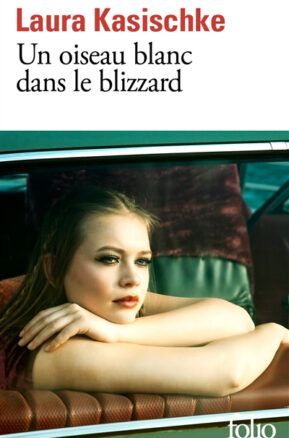 Résumé de Un oiseau blanc dans le blizzard