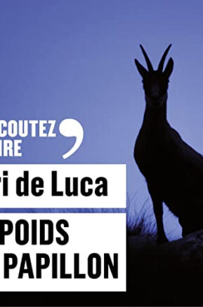Résumé de Le poids du papillon