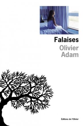 Résumé de Falaises