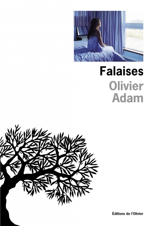Résumé de Falaises