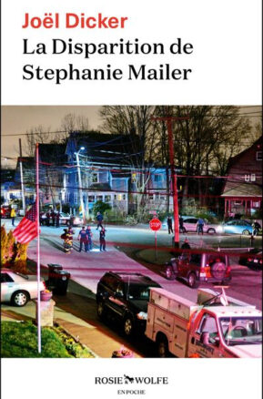 Résumé de La disparition de Stephanie Mailer