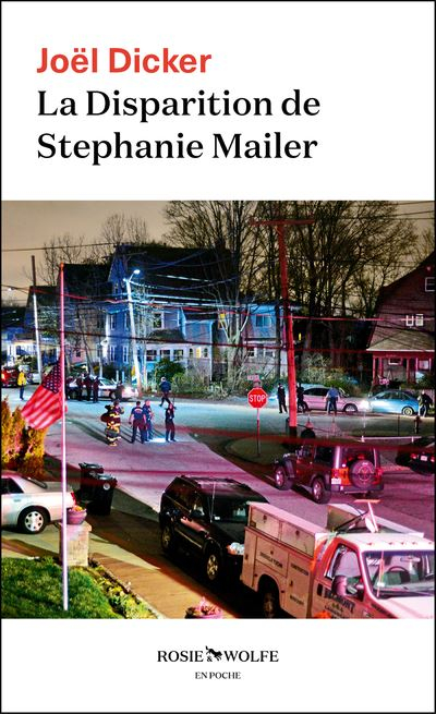 Résumé de La disparition de Stephanie Mailer