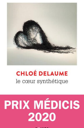 Résumé de Le cœur synthétique