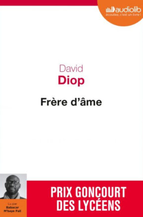 Résumé de Frère d'âme