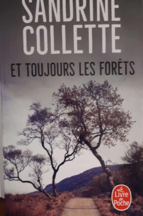 Résumé de Et toujours les Forêts