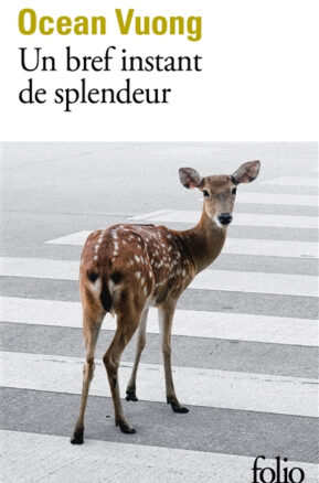 Résumé de Un bref instant de splendeur