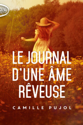 Résumé de Le journal d'une âme rêveuse