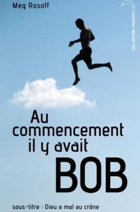 Résumé de Au commencement il y avait Bob : Dieu a mal au crâne