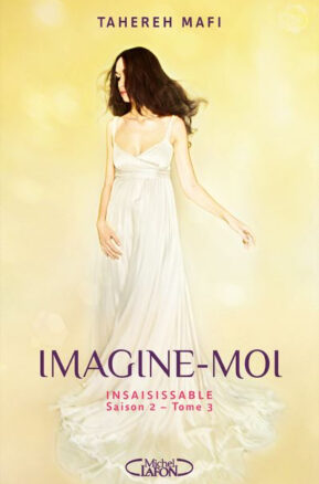 Résumé de Insaisissable, saison 2, tome 3 : Imagine-moi