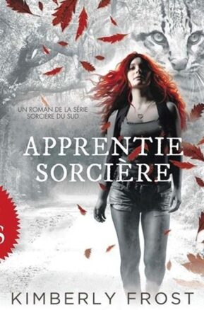 Résumé de Sorcière du Sud, tome 1 : Apprentie sorcière