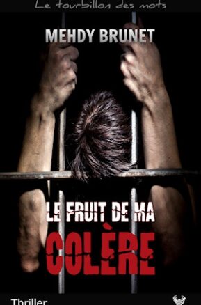 Résumé de Le fruit de ma colère