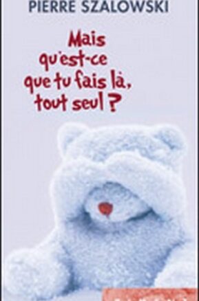 Résumé de Mais qu'est-ce que tu fais là, tout seul ?