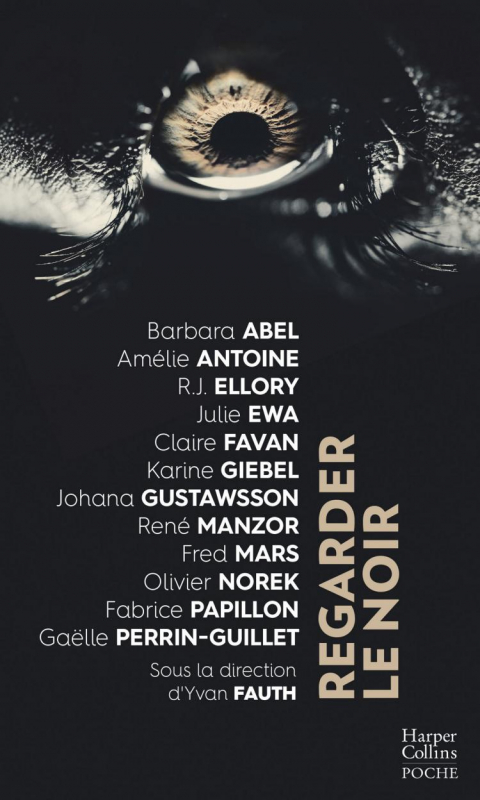 Résumé de Regarder le noir