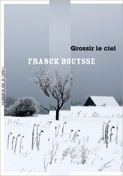 Résumé de Grossir le ciel