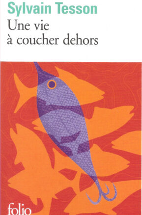 Résumé de Une vie à coucher dehors