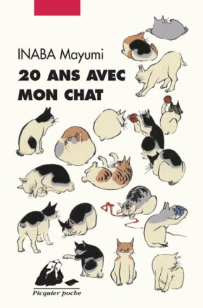 Résumé de 20 ans avec mon chat
