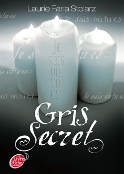 Résumé de Bleu cauchemar, tome 3 : Gris secret
