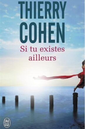 Résumé de Si tu existes ailleurs
