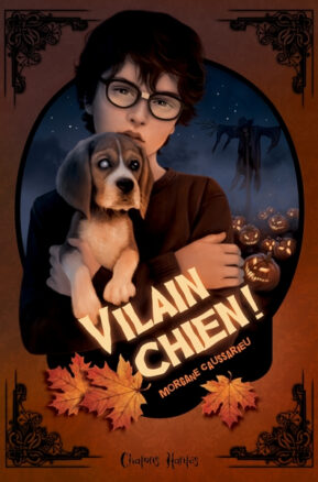 Résumé de Vilain chien !