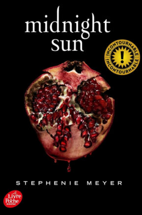 Résumé de Midnight Sun