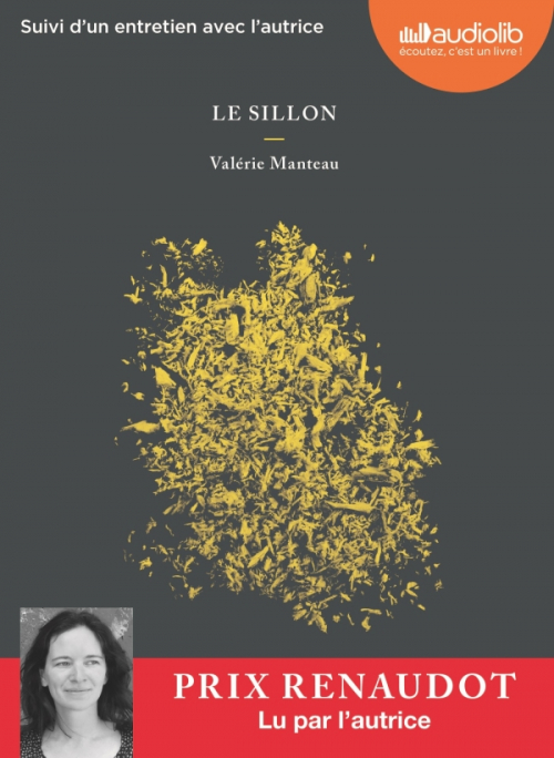 Résumé de Le sillon