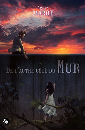 Résumé de De l'autre côté du mur