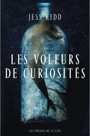 Résumé de Les Voleurs de curiosités