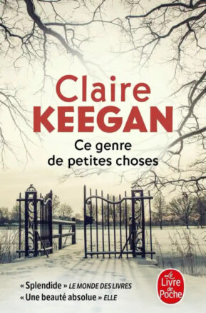 Résumé de Ce genre de petites choses