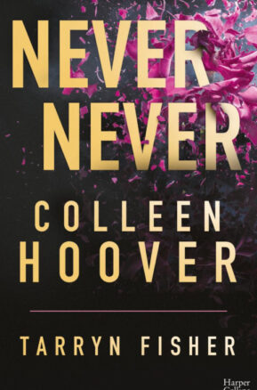 Résumé de Never never, tome 1