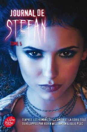 Résumé de Journal de Stefan, tome 5 : L'asile