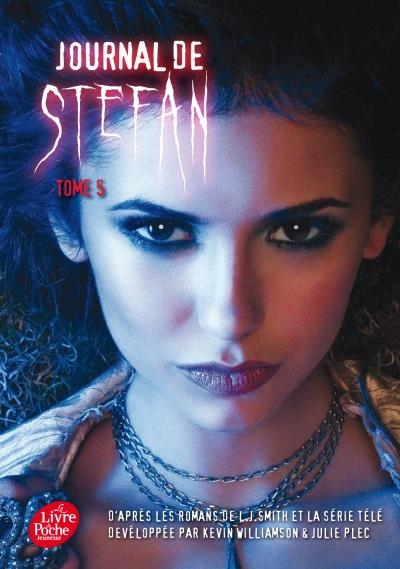 Résumé de Journal de Stefan, tome 5 : L'asile