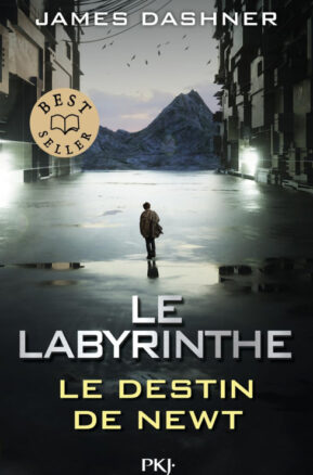 Résumé de L'épreuve, tome 3.5 : Le destin de Newt