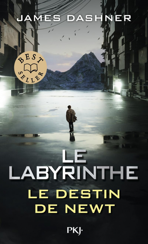 Résumé de L'épreuve, tome 3.5 : Le destin de Newt