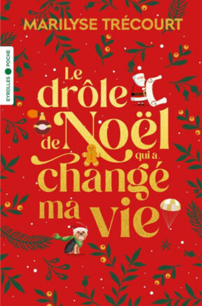 Résumé de Le drôle de Noël qui a changé ma vie