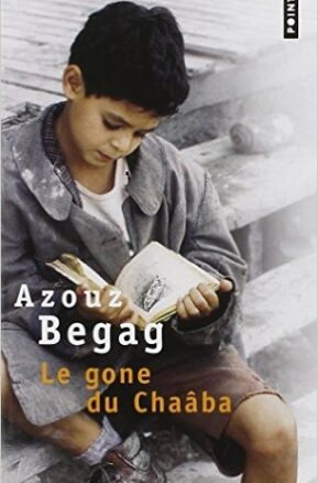 Résumé de Le Gone du Chaâba