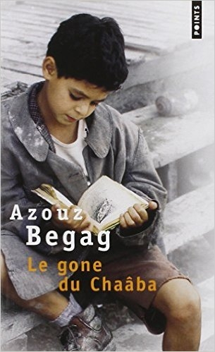 Résumé de Le Gone du Chaâba
