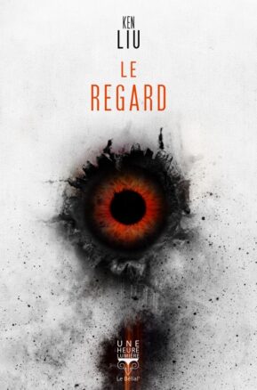 Résumé de Le regard