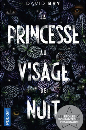 Résumé de La Princesse au visage de nuit