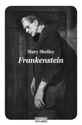 Résumé de Frankenstein ou le Prométhée moderne, abrégé