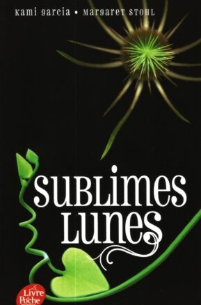 Résumé de Chroniques des enchanteurs, tome 2.5 : Sublimes Lunes