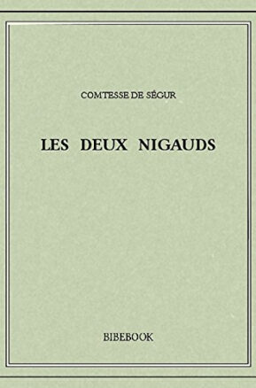 Résumé de Les deux nigauds