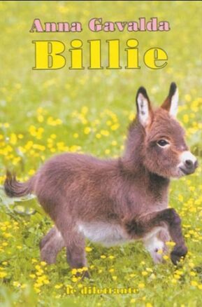 Résumé de Billie