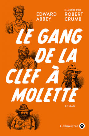 Résumé de Le gang de la clef à molette