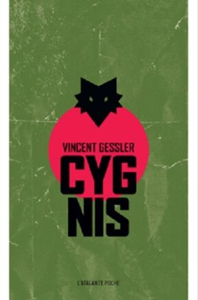Résumé de Cygnis