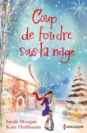 Résumé de Coup de foudre sous la neige