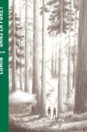 Résumé de Dans la forêt (BD)