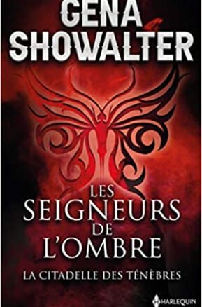 Résumé de Les seigneurs de l'ombre, tome 01 : La citadelle des ténèbres
