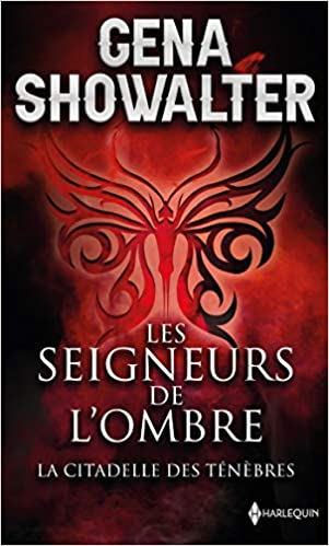 Résumé de Les seigneurs de l'ombre, tome 01 : La citadelle des ténèbres